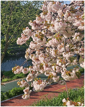불광천