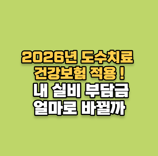 2026년 7월 도수치료 건강보험 적용! 내 실비 부담금은 얼마로 바뀔까?