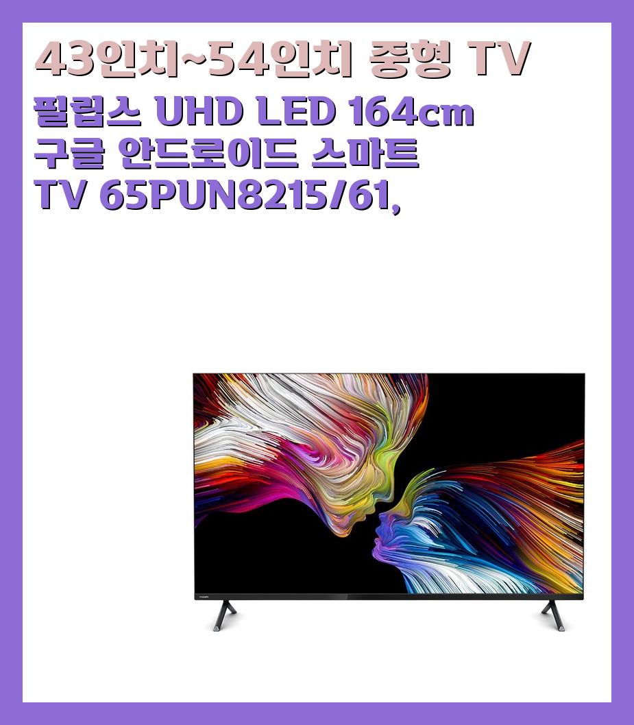 43인치~54인치 중형 TV