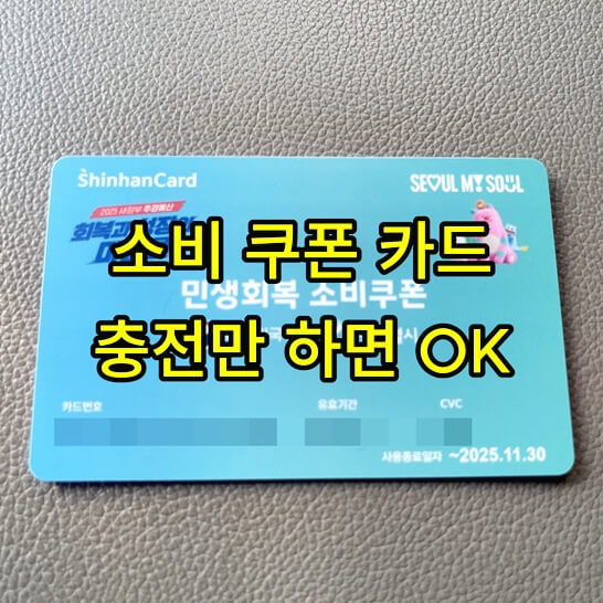 정부-신한-카드