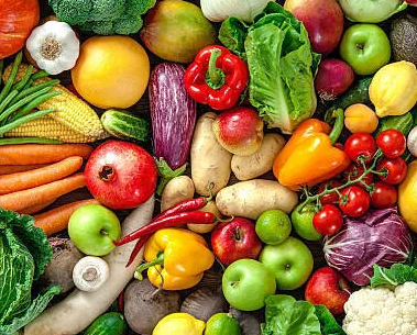 고양이에게 주면 안 되는 채소&#44; 주의점