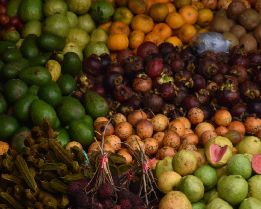 망고스틴 먹는법