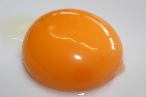 눈 건강엔 이 음식이 답입니다.