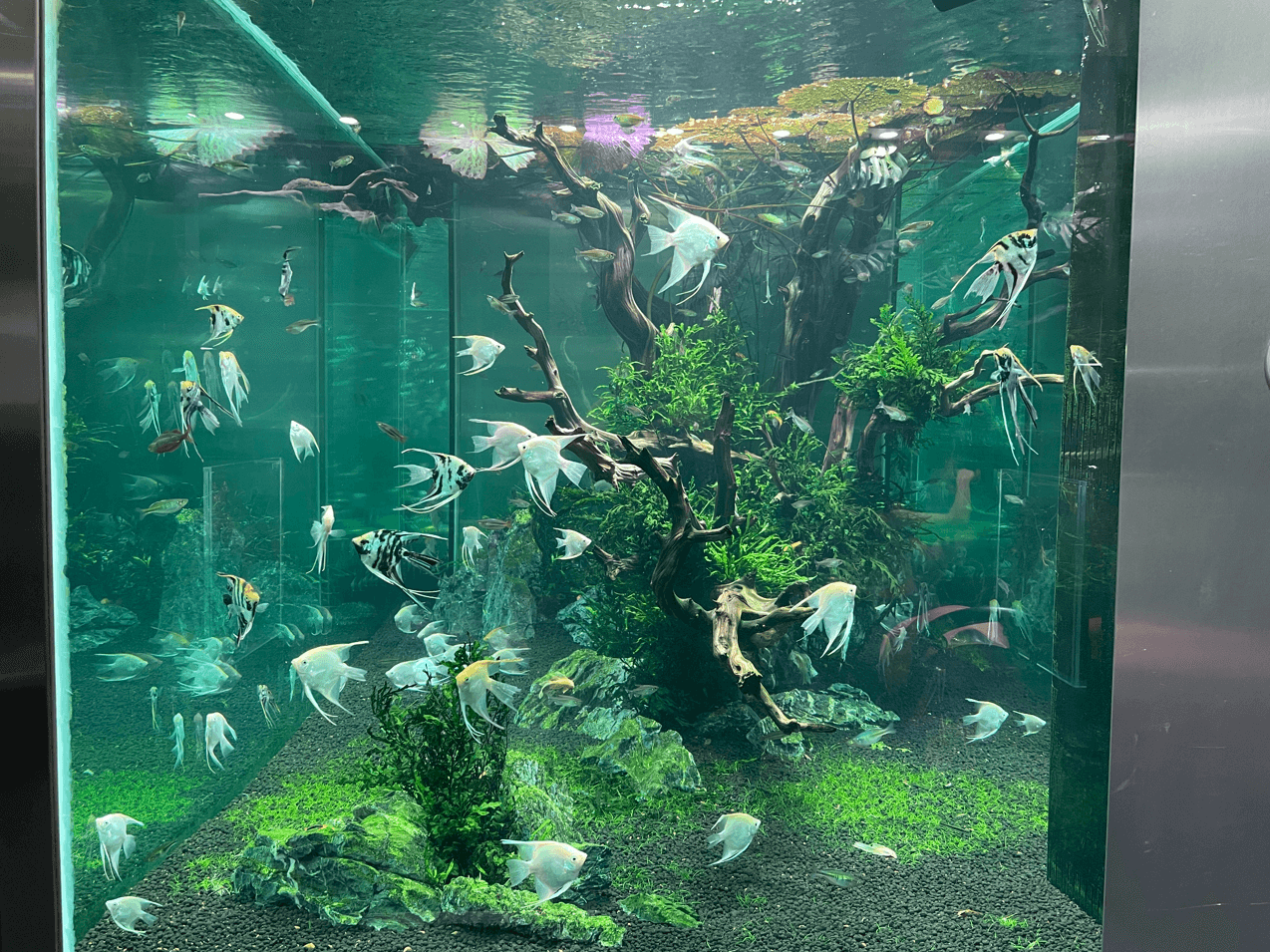 잠심-아쿠아가든