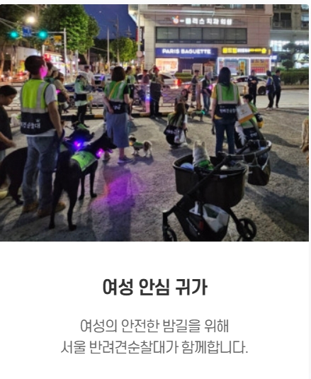 서울 반려견 순찰대