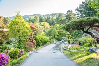 아침고요수목원 입장료 근처 맛집 펜션 추천_19