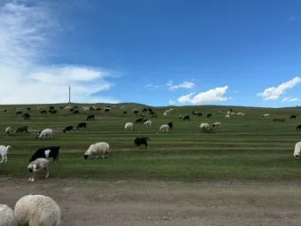 몽골 여행 날씨 필수 준비물_26