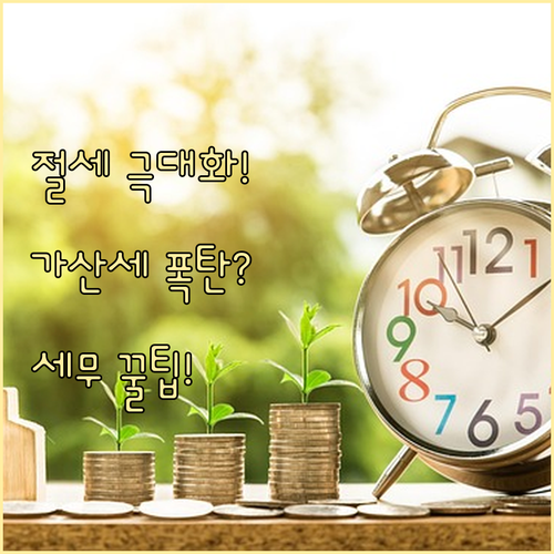 세무 전문가 활용 핵심 가치 절세액 ..