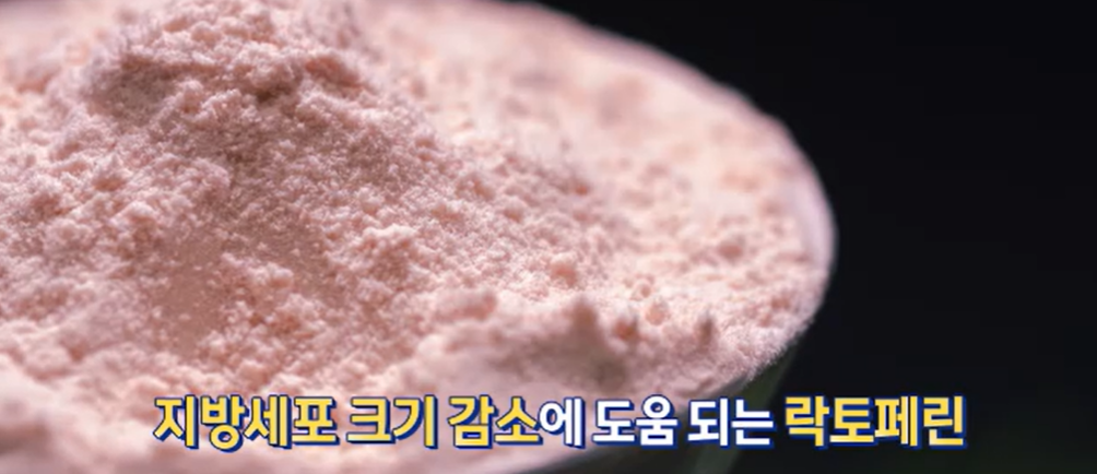 락토페린