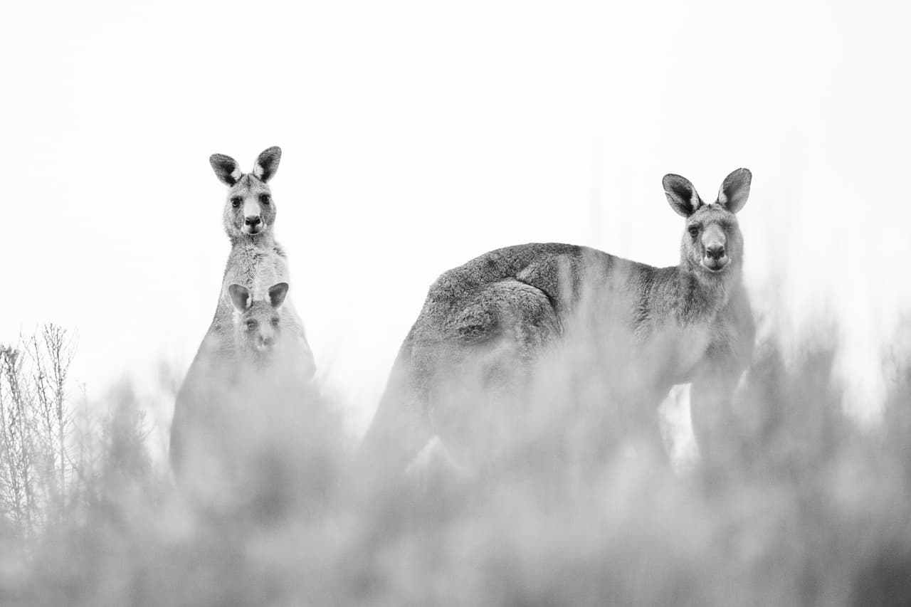 ❄️ 겨울철 두피 열감과 탈모의 숨은 관계 — “머리는 차갑게, 모근은 따뜻하게”