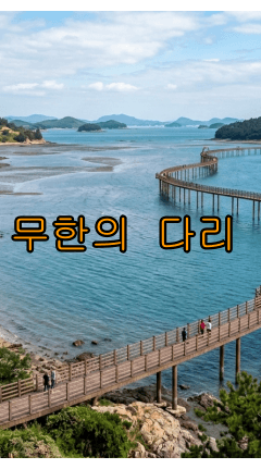 신안 자은도 무한의 다리