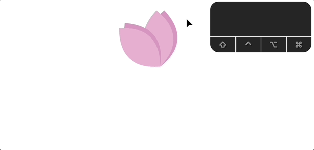 개별 변형으로 회전하기