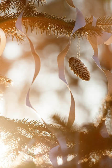 서울 크리스마스 트리 명소 총 정리