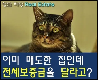 세입자가 집을 비워주지 않을 때 해결 방법_7