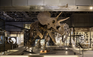 국립중앙과학관과학관