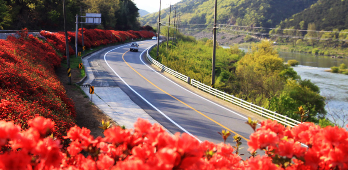 곡성 섬진강이 보이는 도로 풍경