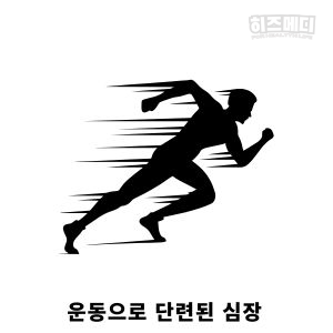 동성서맥
