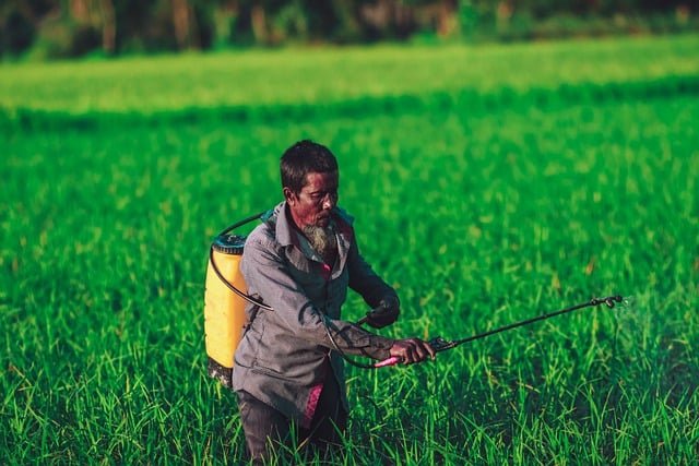 살충제 뿌리는 사람