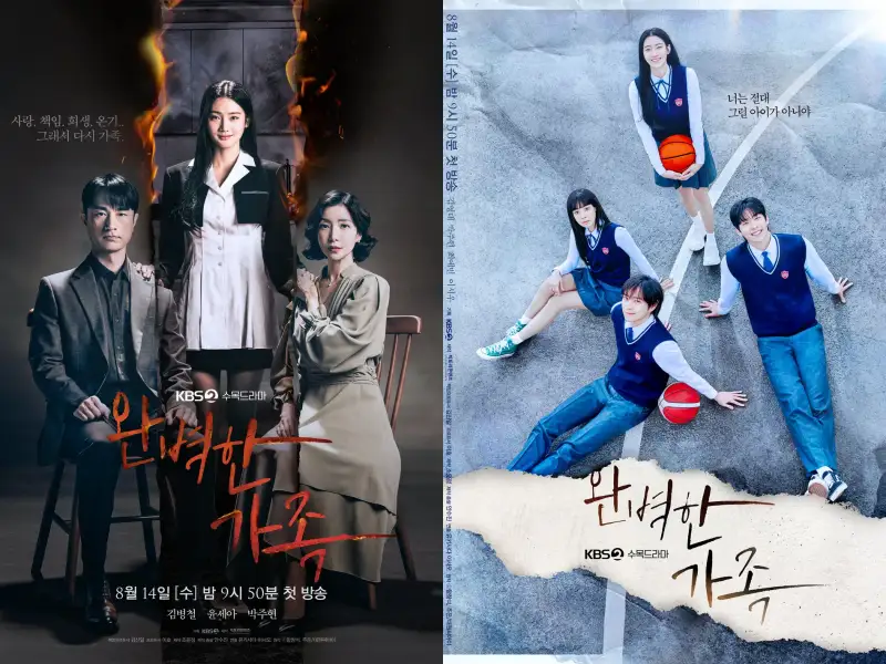 완벽한 가족 포스터