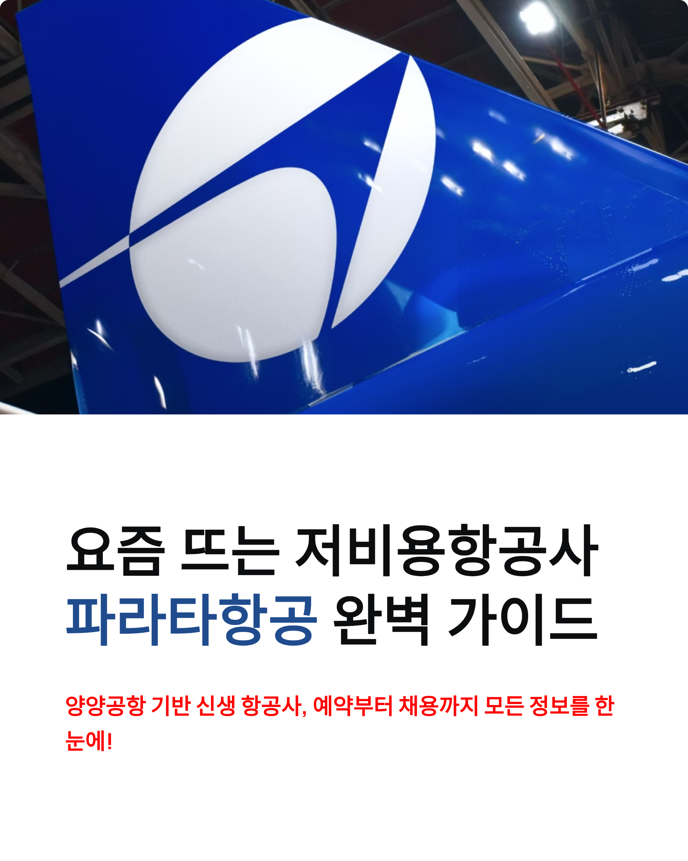 파라타항공 예약부터 일본 노선 후기까지! 완벽 정리 ✈️