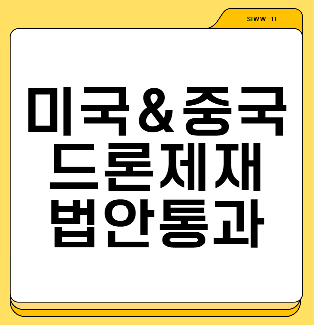 미국 중국