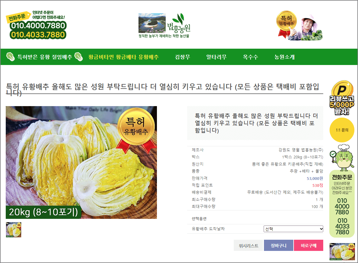 고랭지 절임배추