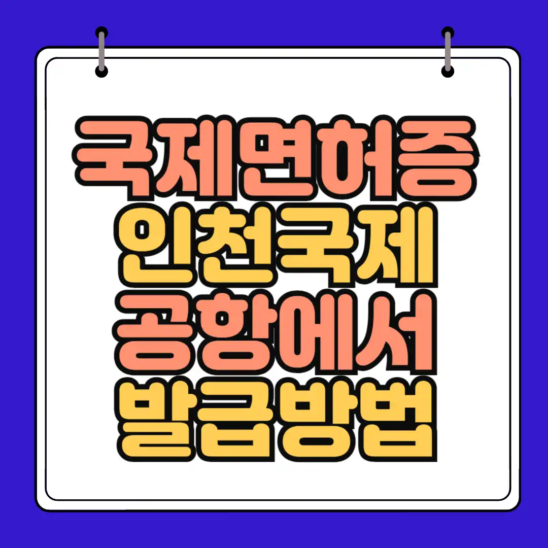 국제 면허증 썸네일
