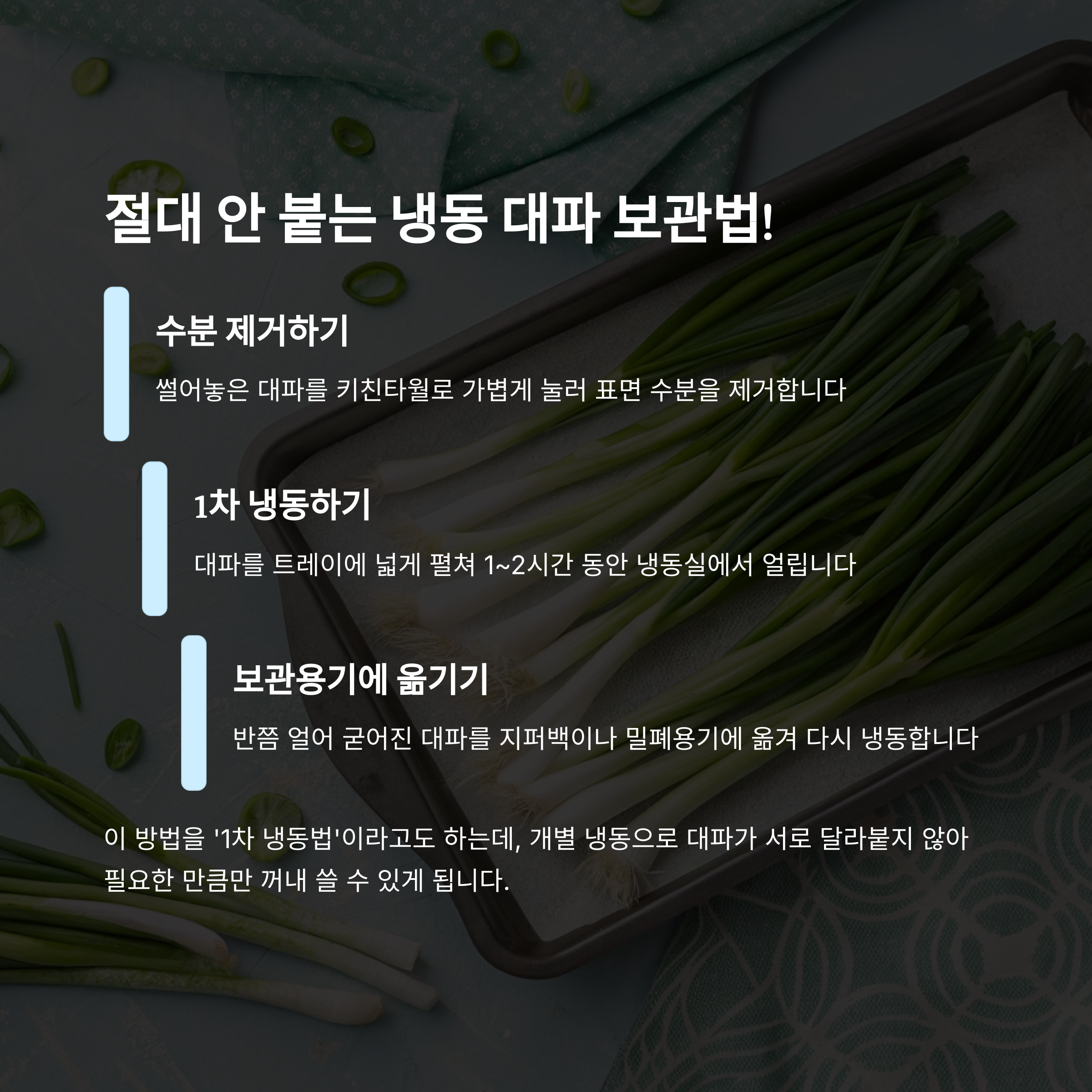 절대 안 붙는 냉동 대파 보관법