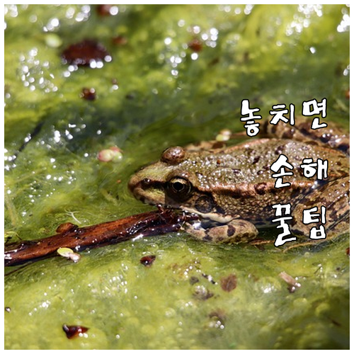 현대카드 M 에디션3 20대 위한 포..