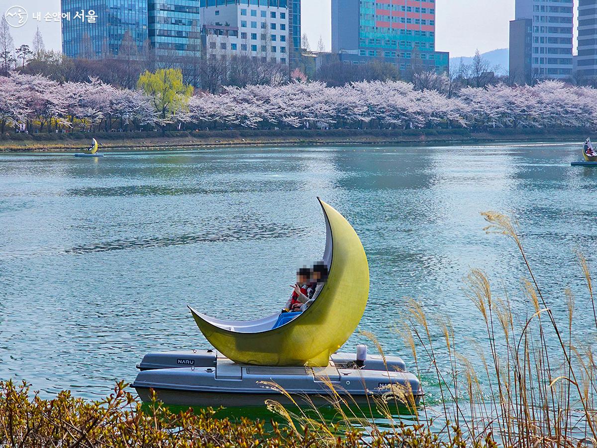 송파구 잠실 석촌호수벚꽃축제 기본일정과 프로그램 소개