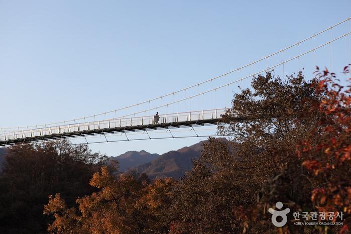 한탄강 하늘다리