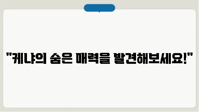케냐 수도, 문화, 특산물