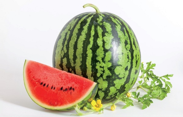 잘 익은 수박의 이미지