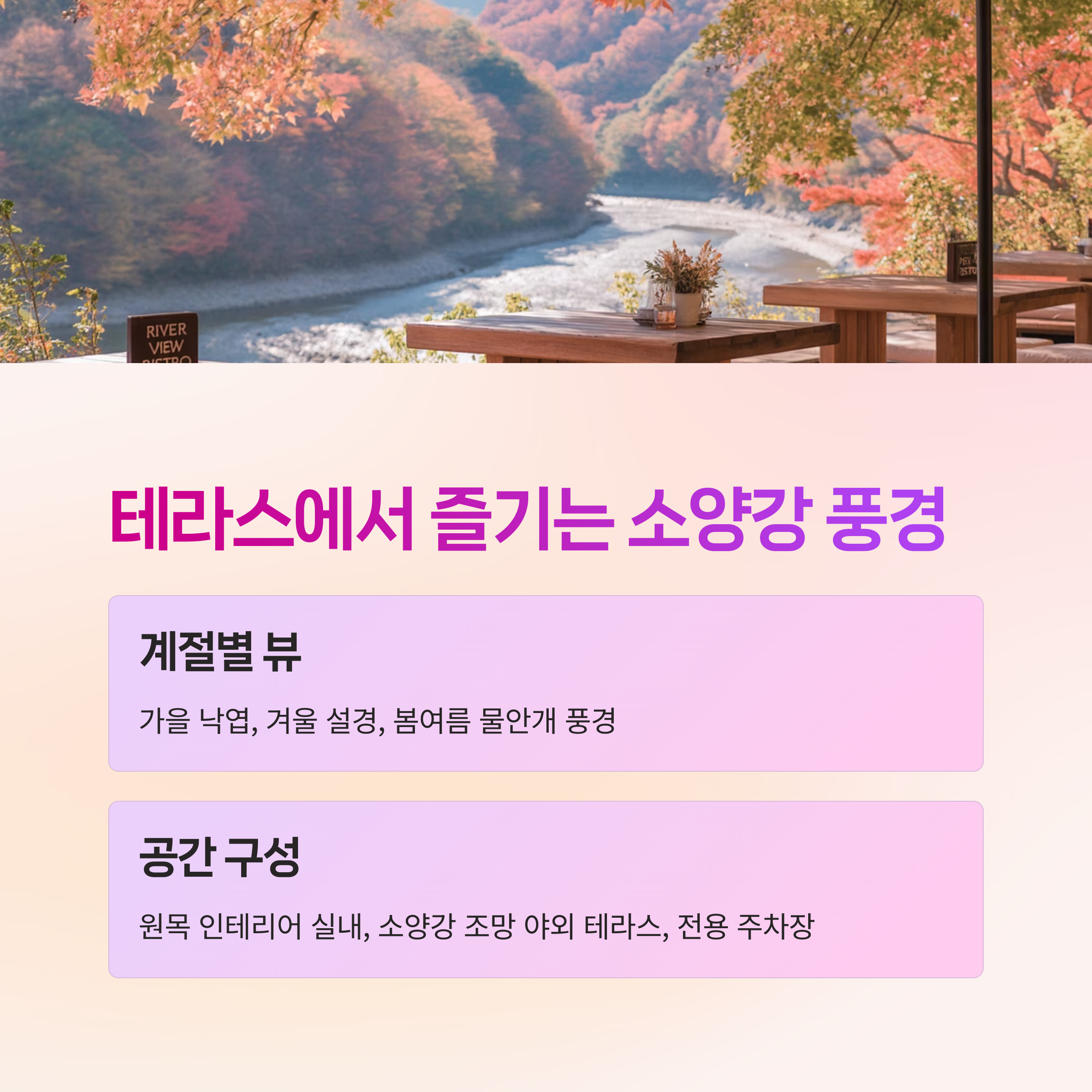 참숯닭갈비,