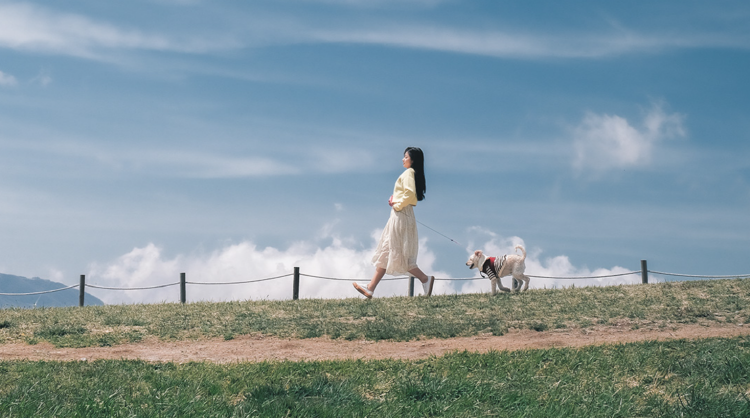 대관령 하늘목장