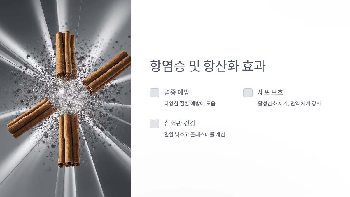 계피 효능