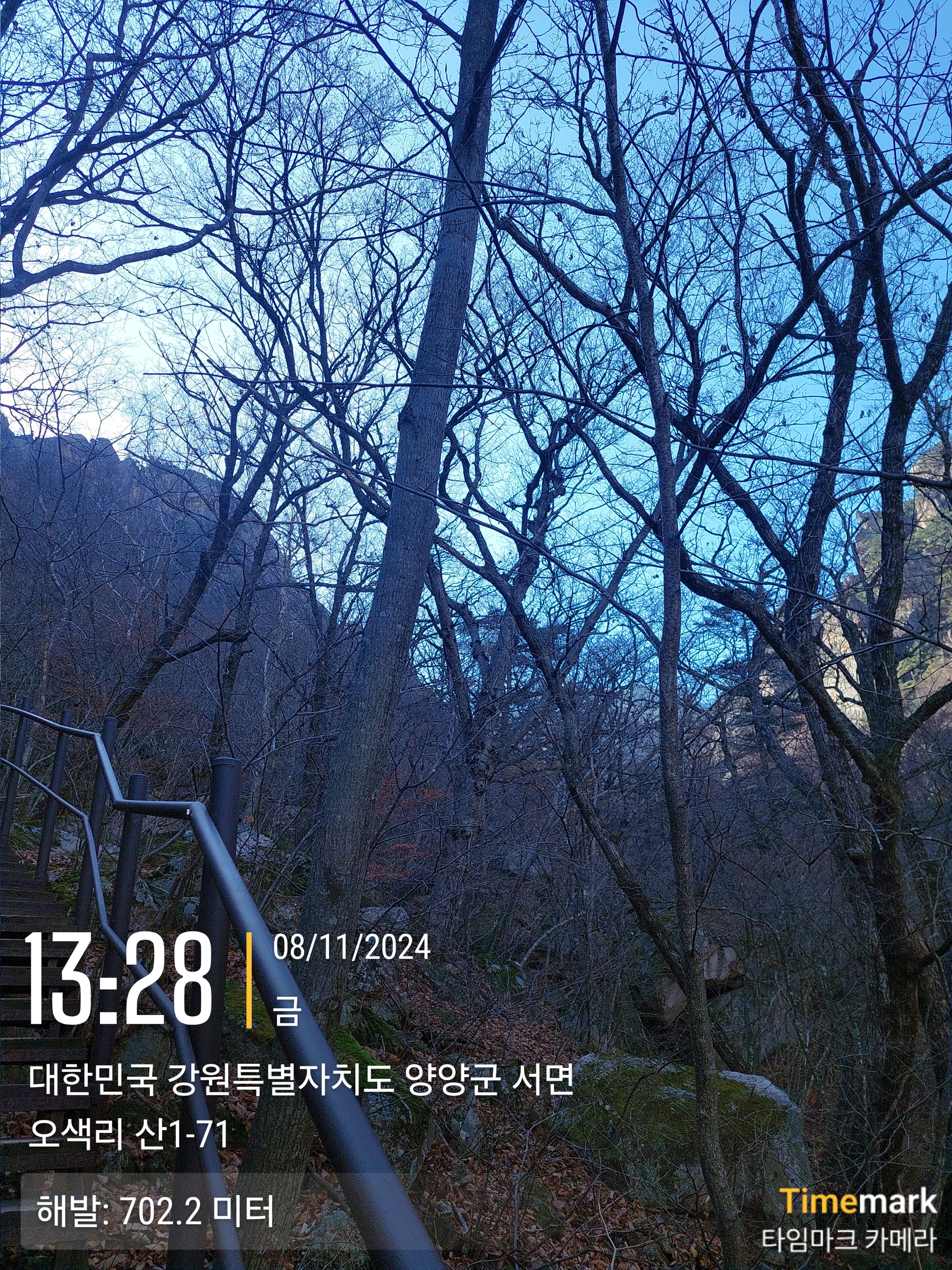 흘림골