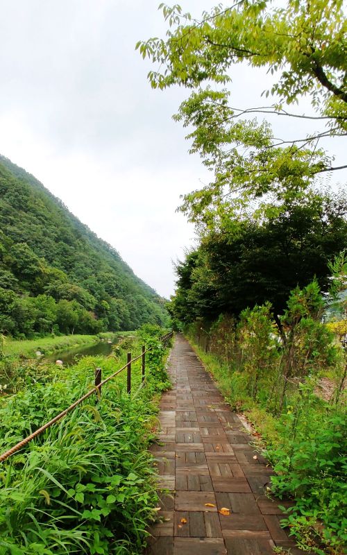 비로 인해 흙냄새 풀냄새가 가득한 운치 있는 산책로