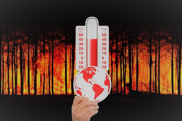 기후 변화 - 지구 환경