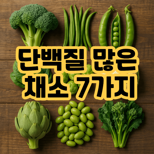 브로콜리, 완두콩, 시금치 등 녹색 채소 위에 '단백질 많은 채소 7가지'라는 텍스트가 강조된 이미지