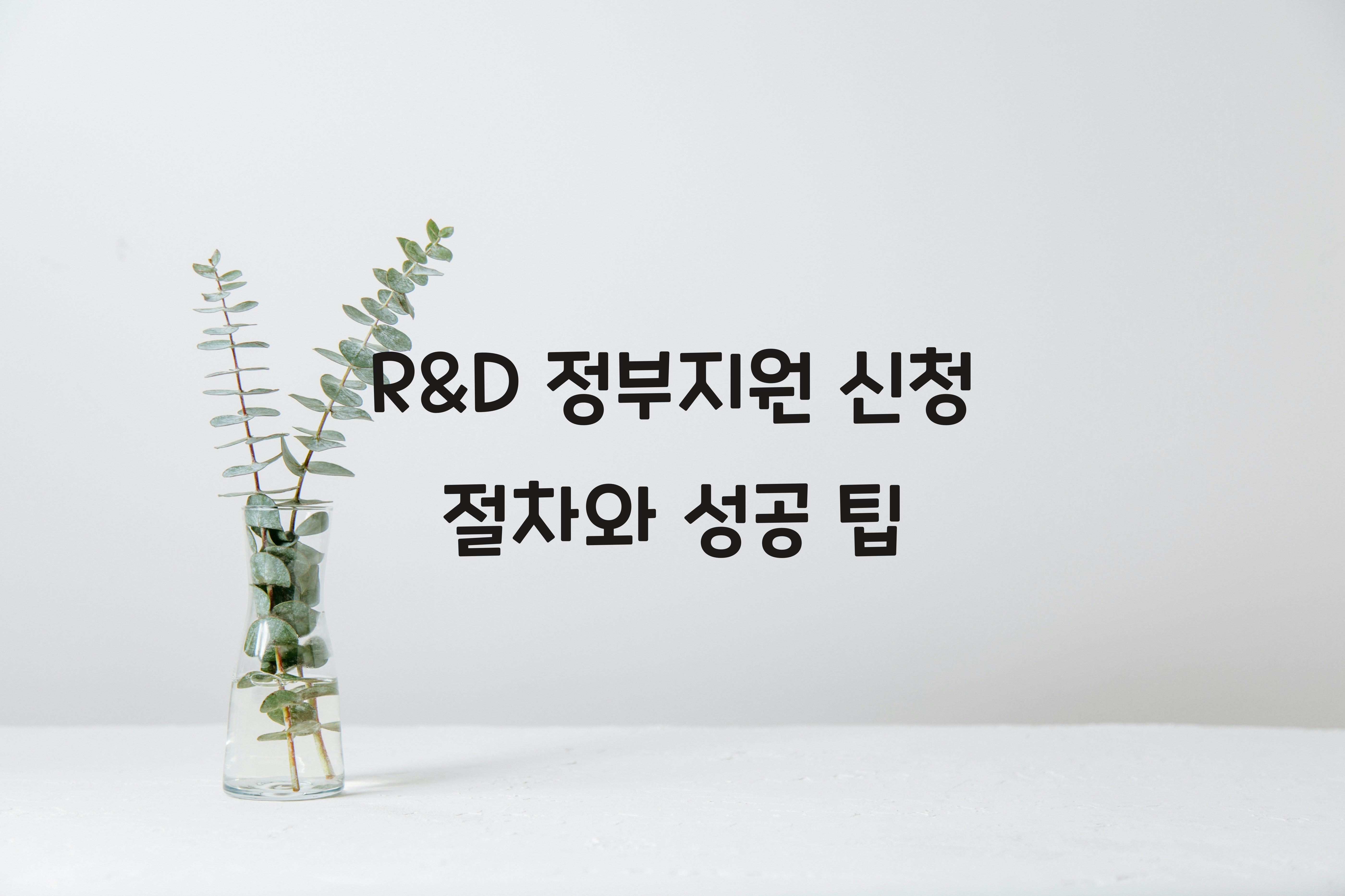 R&D 정부지원 신청