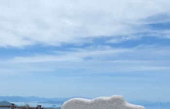 완도_생일도_가는길_당목항_배시간_여행코스