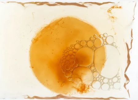 콤부차 효능 및 부작용