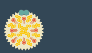 혈중 콜레스테롤