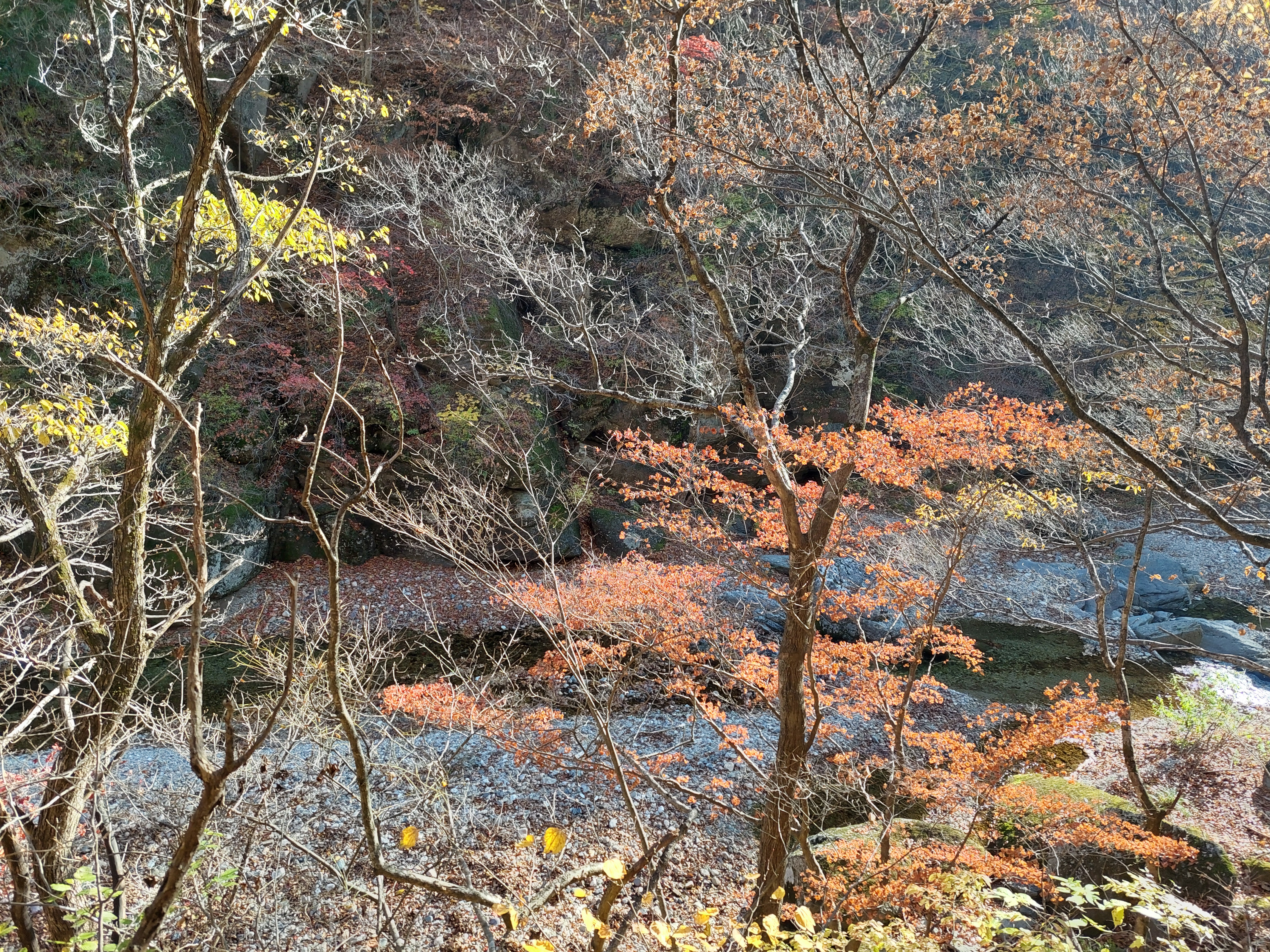 주왕산