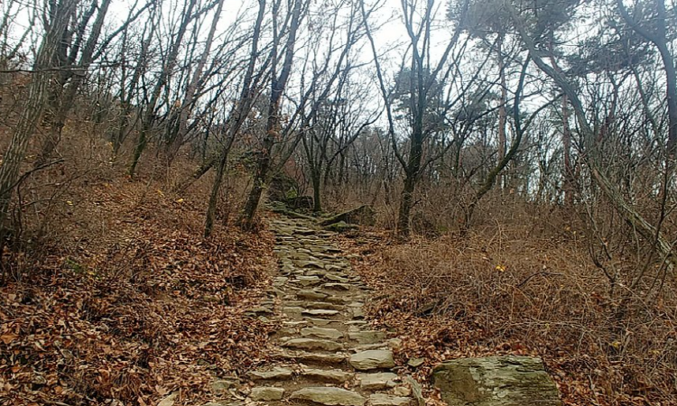 청계산 등산지도