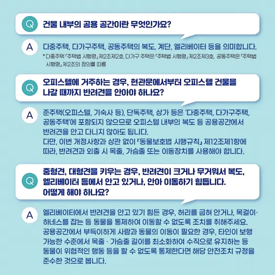 반려동물행동지도사 국가자격증 맹견 사육허가제 도입 알아봅니다