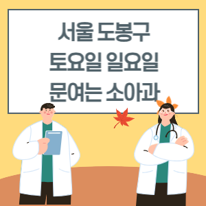 서울 도봉구 토요일 일요일 소아과 진료 병원 리스트