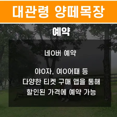 강원도 가볼만한곳