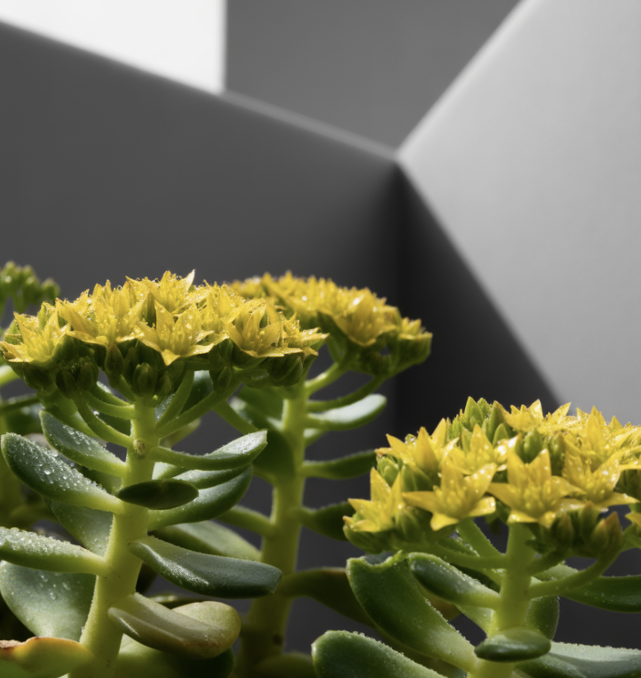 최고의 명당&amp;#44; &amp;#39;햇볕&amp;#39;과 &amp;#39;바람&amp;#39;